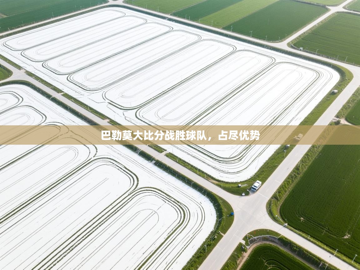 巴勒莫大比分战胜球队，占尽优势  第1张