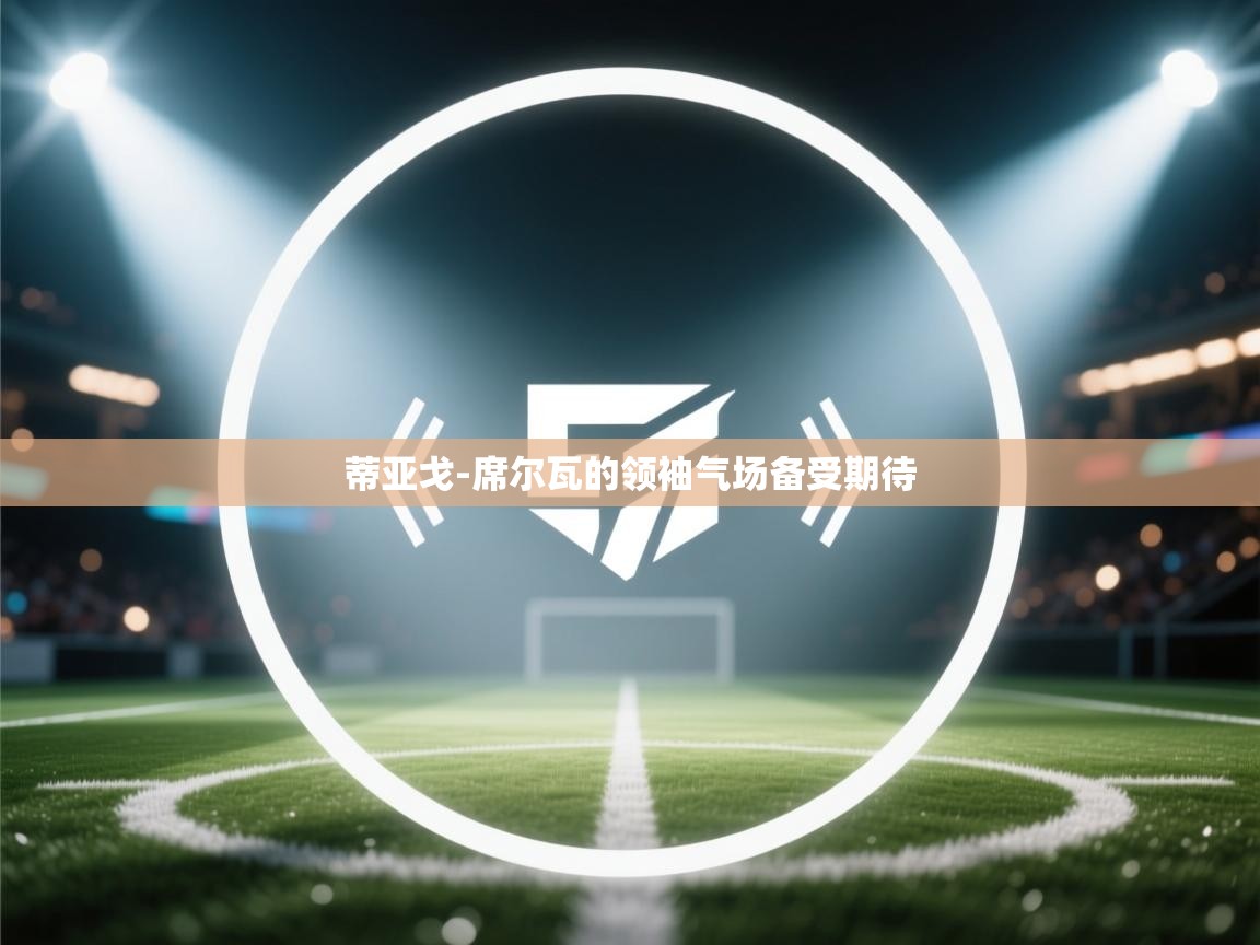 蒂亚戈-席尔瓦的领袖气场备受期待  第1张