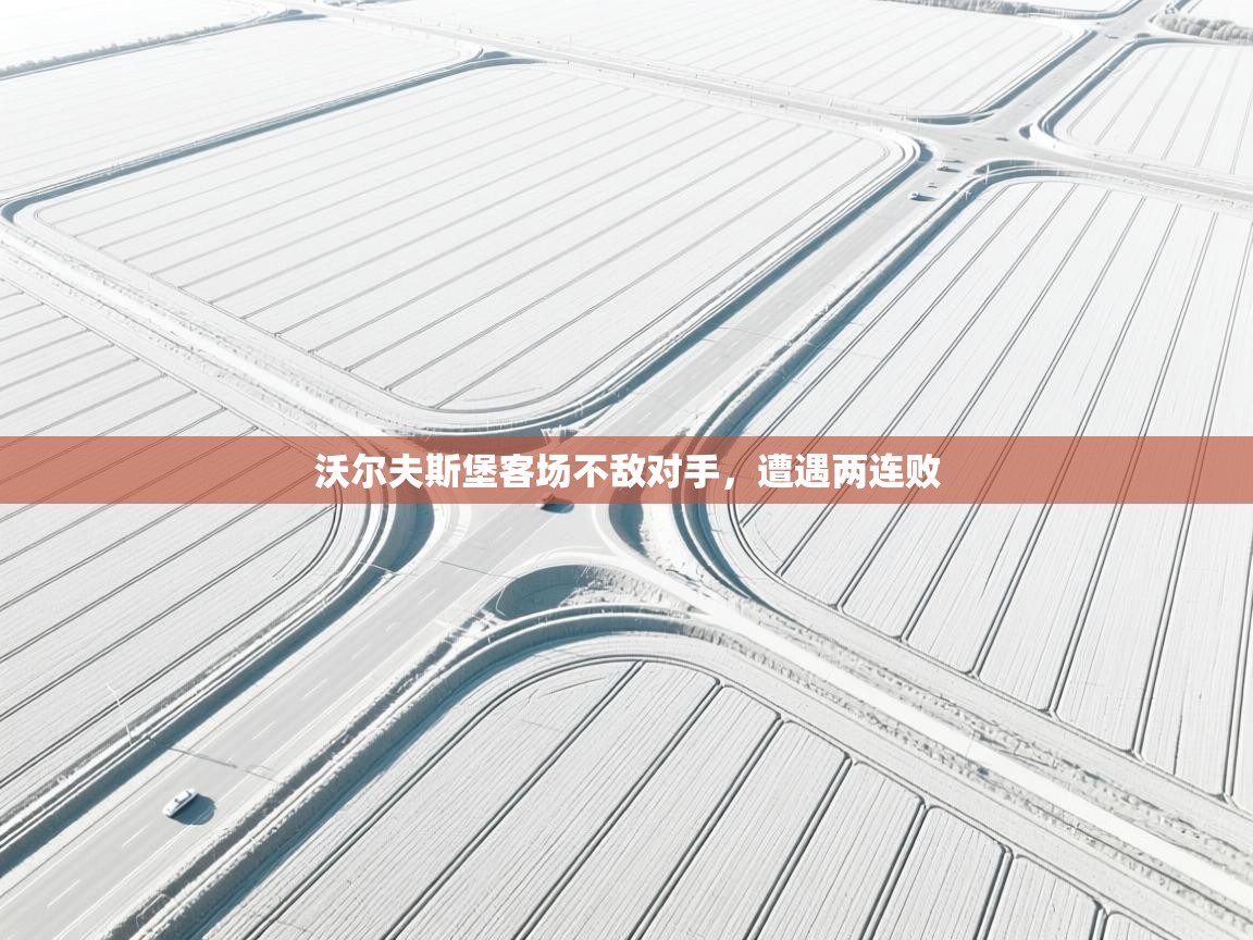 沃尔夫斯堡客场不敌对手,遭遇两连败 第1张