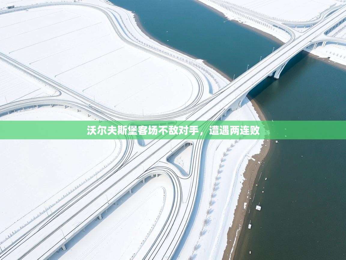 沃尔夫斯堡客场不敌对手,遭遇两连败 第2张