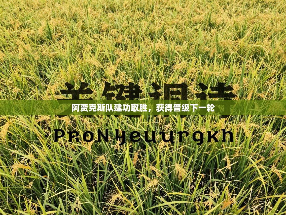 阿贾克斯队建功取胜,获得晋级下一轮 第2张