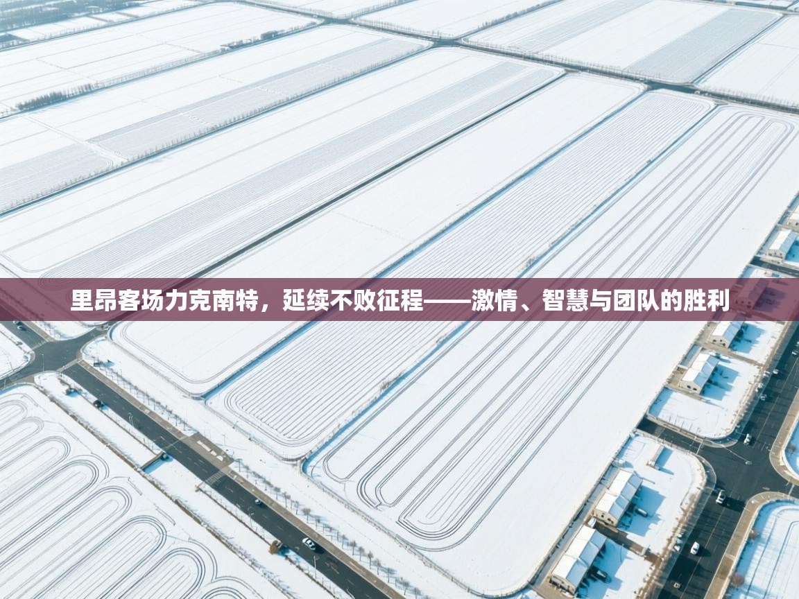 里昂客场力克南特,延续不败征程——激情、智慧与团队的胜利 第1张