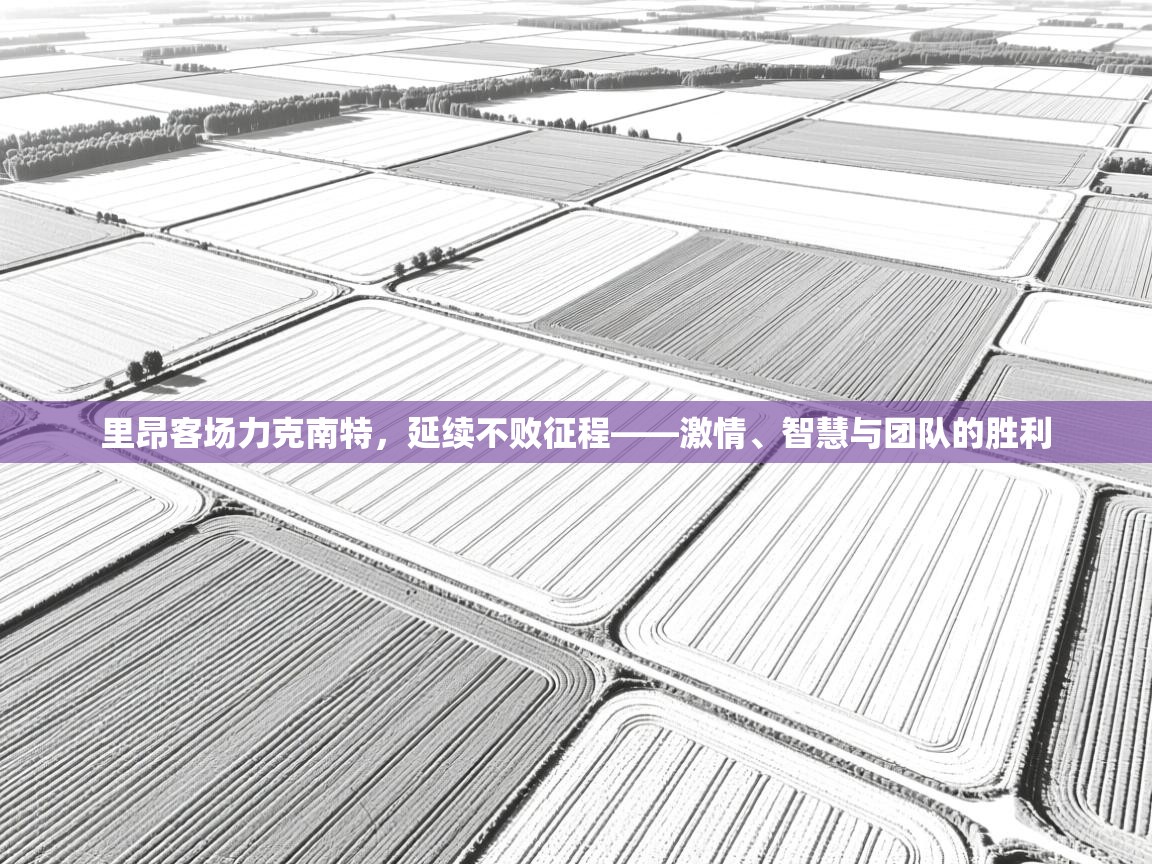 里昂客场力克南特,延续不败征程——激情、智慧与团队的胜利 第2张